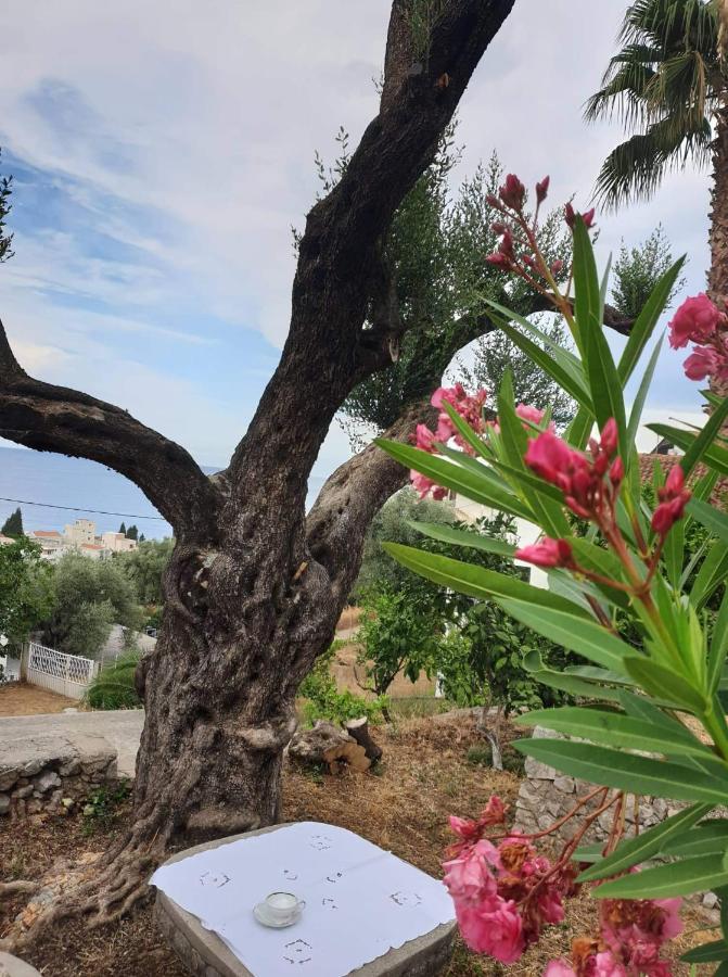 Apartman Veliki Pijesak Dobra Voda Buitenkant foto
