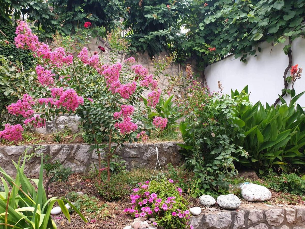 Apartman Veliki Pijesak Dobra Voda Buitenkant foto